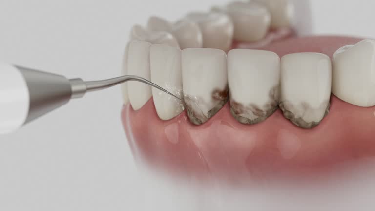 Reliable Emergency Dentist contractor in Gladwin County County, MI by Dentist Open Now